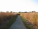 2008-10-11_Tiverton_Trustom 115